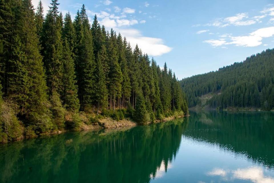 Camping Aviator, Numai Teren, Campare Pentru Rulote Autorulote Personale, Campingul Nu Are Rulote !!! Buşteni 外观 照片